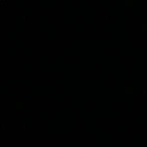 Meet your Posher, Ali